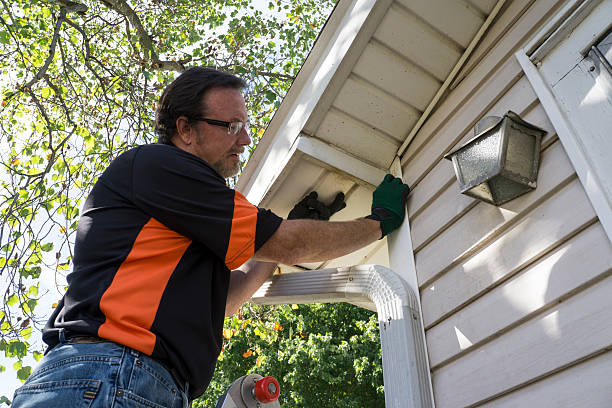 Affordable Siding Repair and Maintenance Services in Dix Hills, NY